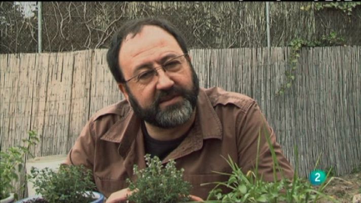 Biodiario - Biodiario - 08/02/11