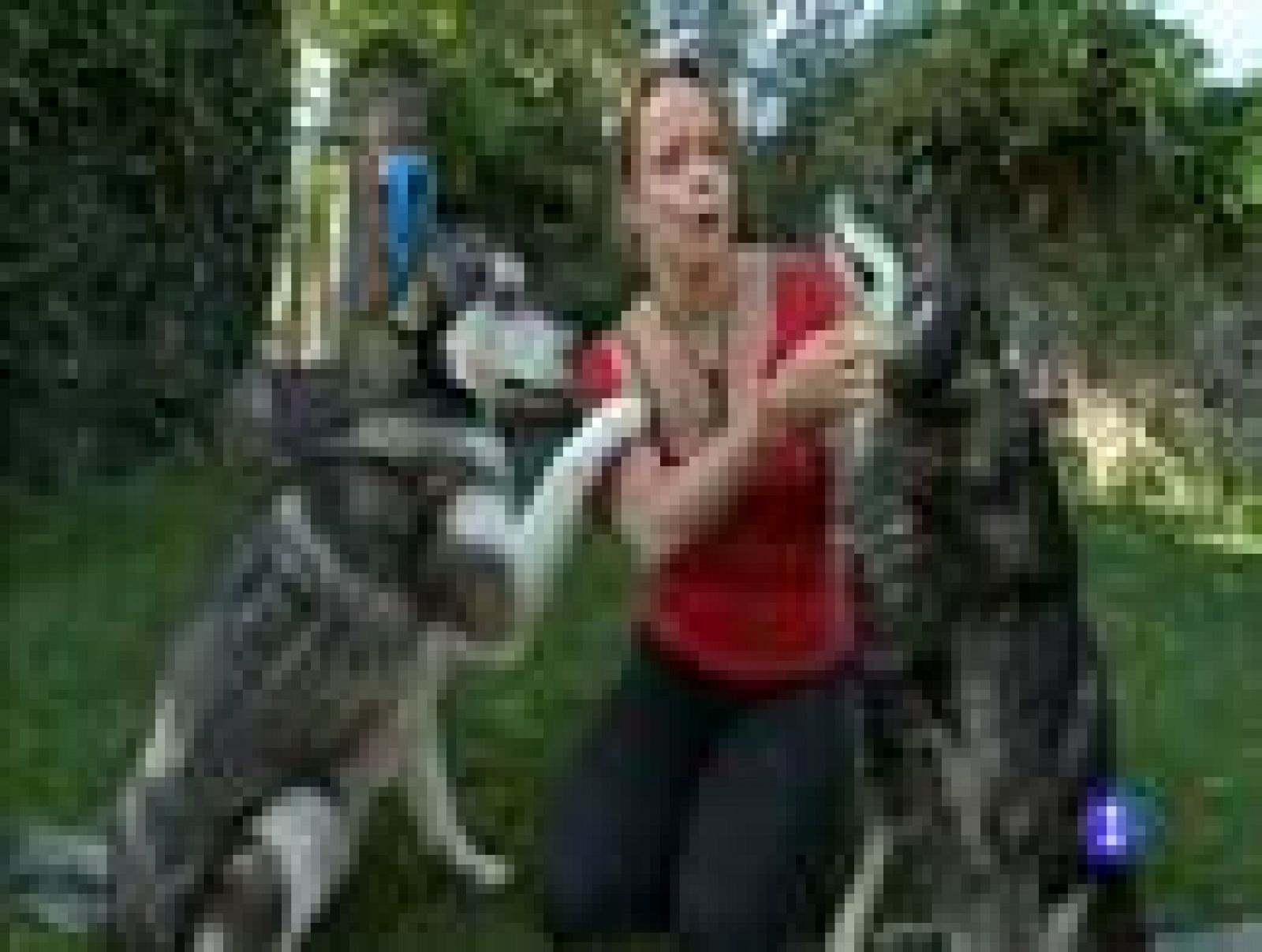 Destino: Castilla-La Mancha III, Coralie