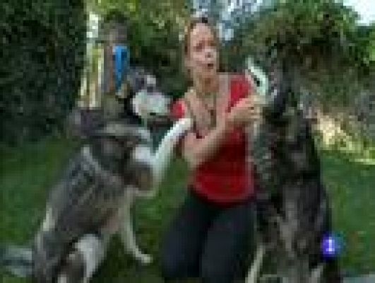 Destino: España - Castilla-La Mancha III, Coralie