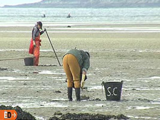 España Directo - Mariscadoras sin pensión