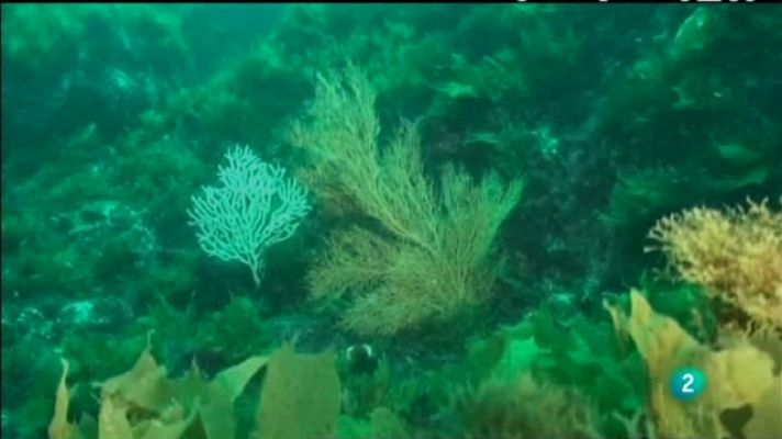 Biodiario - Biodiario - 09/02/11