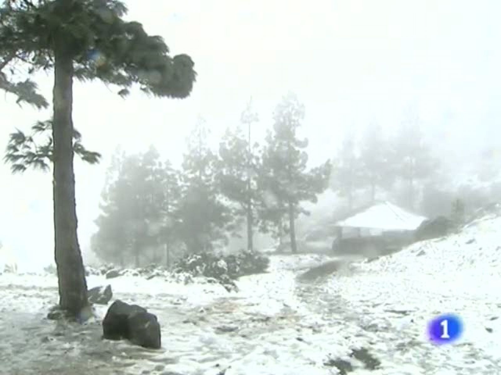 Telecanarias - 10/02/11 | Ver