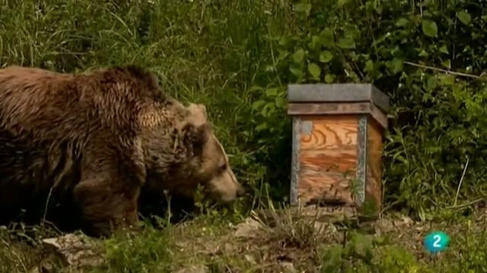 Biodiario - 10/02/11 - Biodiario | Ver