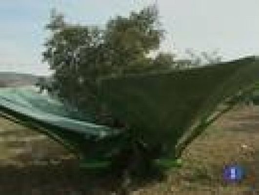 Noticias de Castilla-La Mancha - Noticias Castilla-La Mancha en 2'  -  11-02-2011