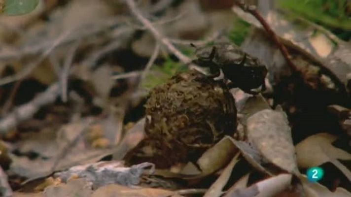 Biodiario - Biodiario - 11/02/11