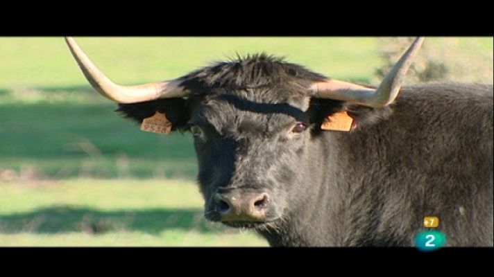 Tendido cero - Tendido cero - 12/02/11