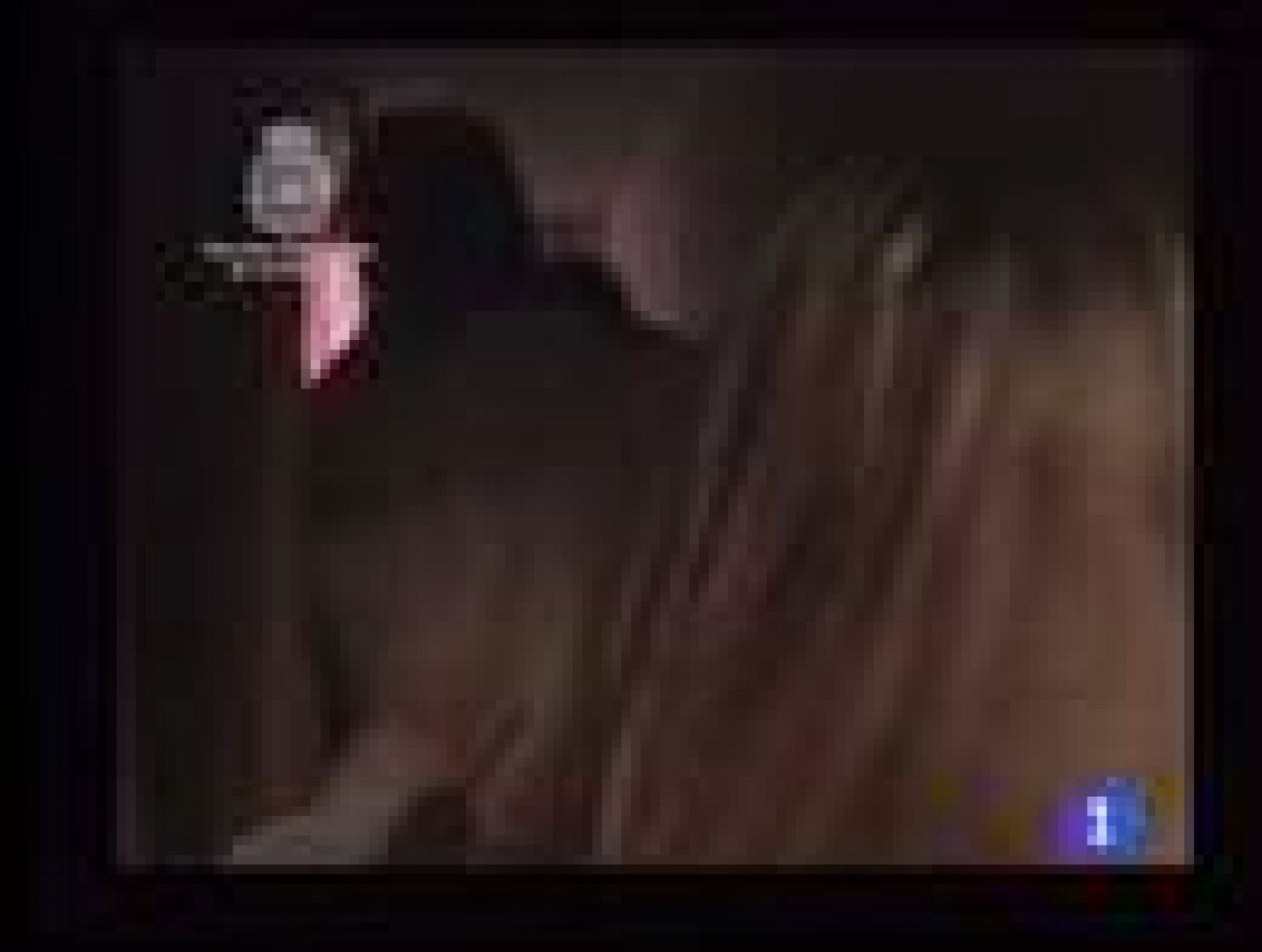 Cae una red de explotación sexual que controlaba los prostíbulos por internet | Ver