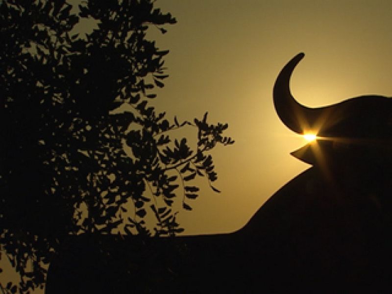 Noticias de Melilla - 11/02/11