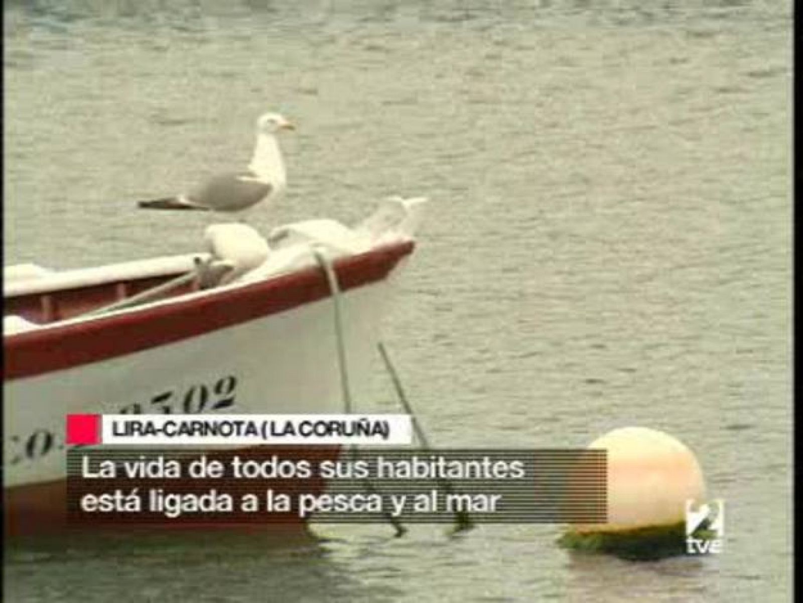 Pesca ecológica tras el Prestige