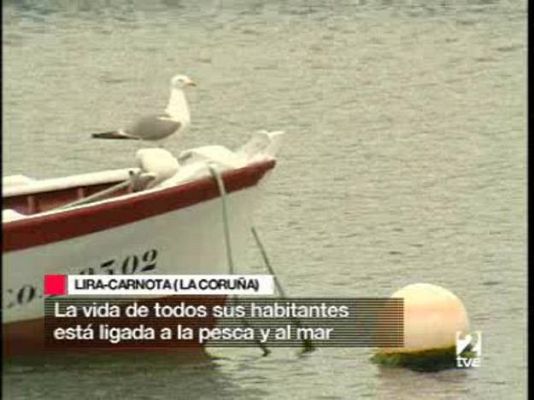 Pesca ecológica tras el Prestige