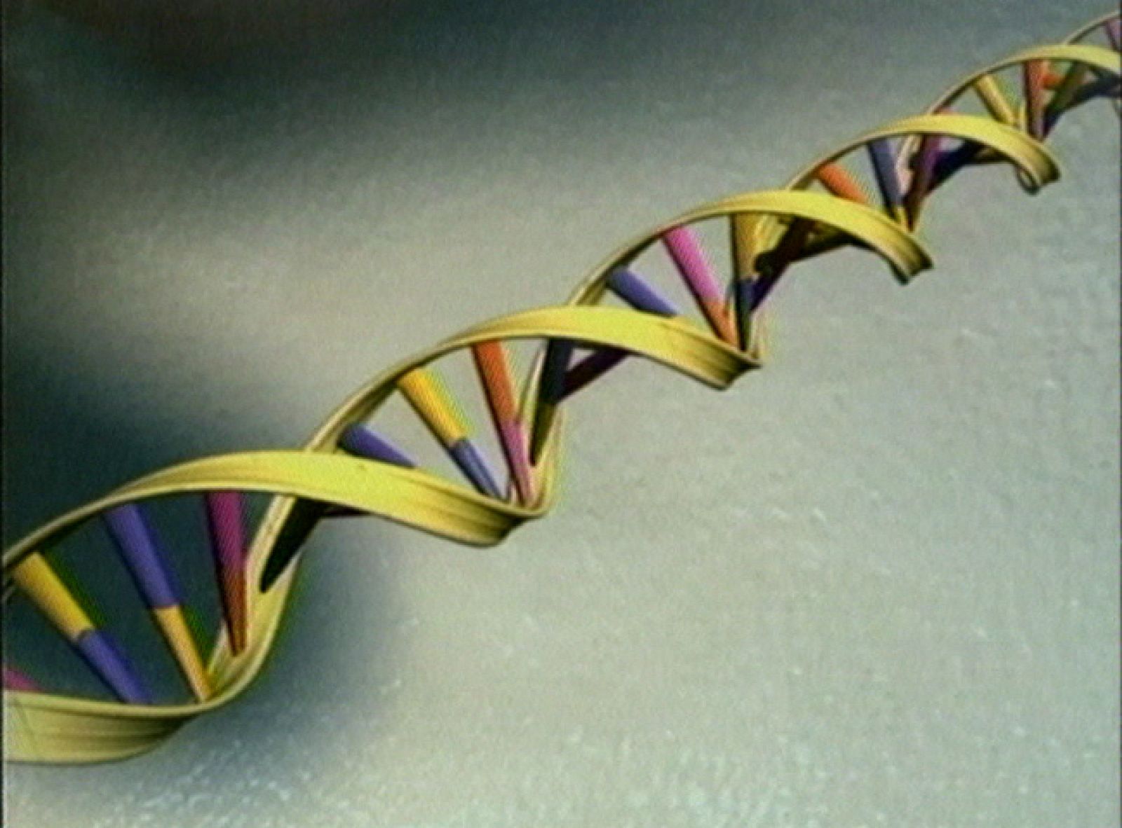 Hace 10 años de la publicación de la secuenciación del genoma humano