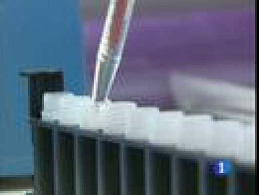 Telediario 1 - 10 años del genoma humano