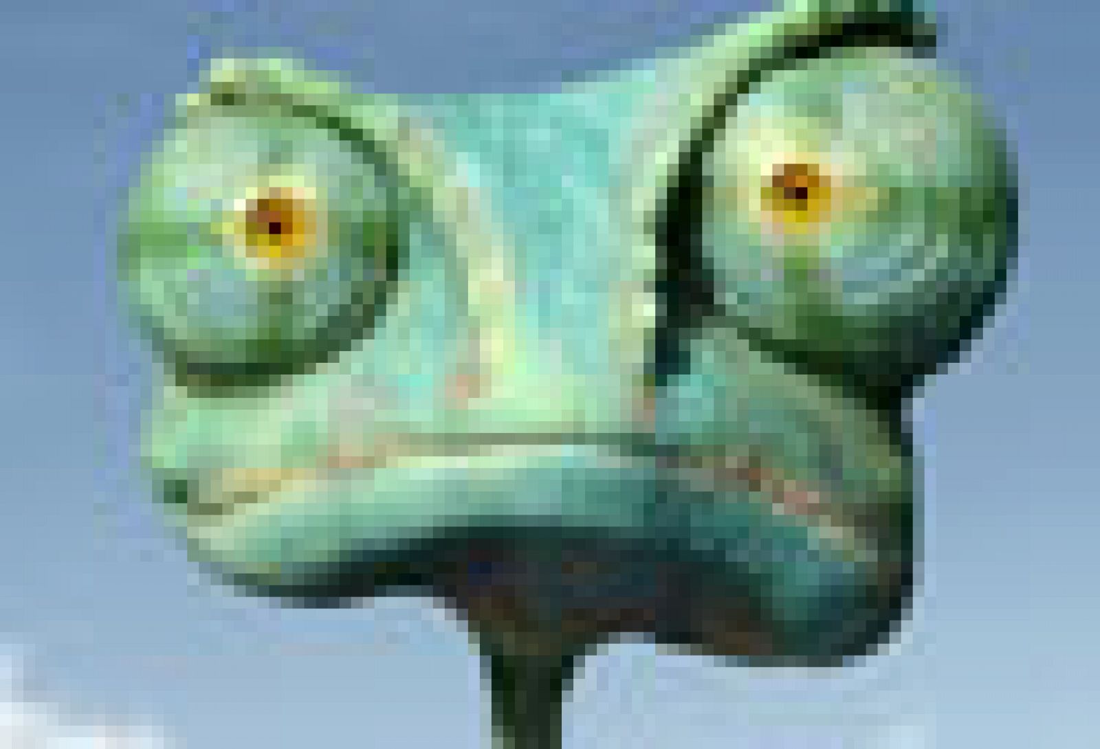 Johnny Depp es un camaleón en "Rango"