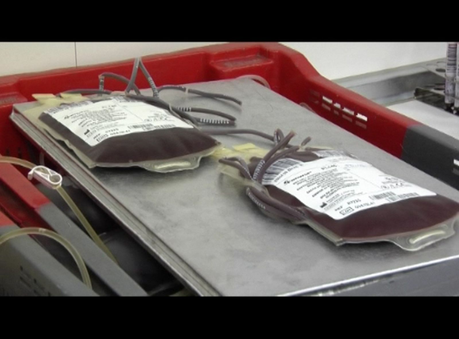 Nueva vía para conseguir sangre artificial