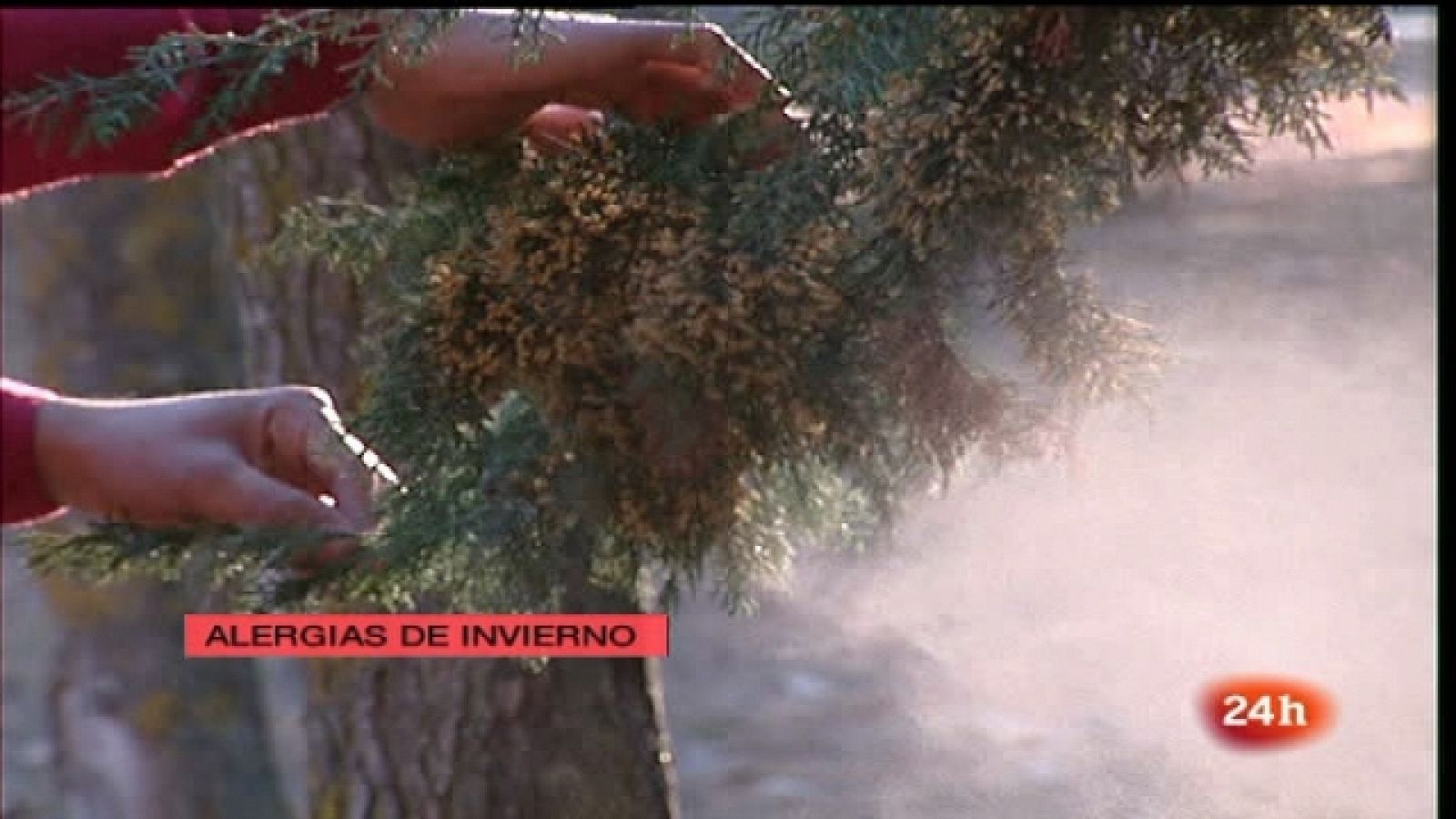 España en 24 horas - 16/02/11 - España en 24h | Ver