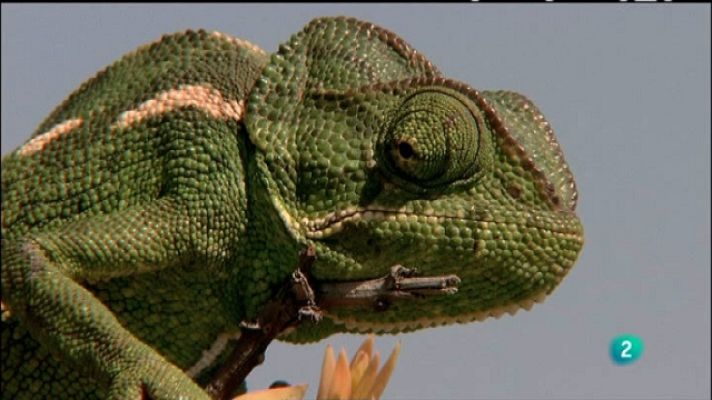 Biodiario - Biodiario - 16/02/11