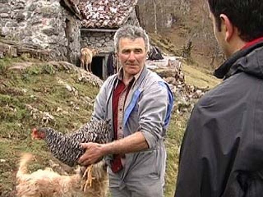 Comando Actualidad - Comando - Último pastor