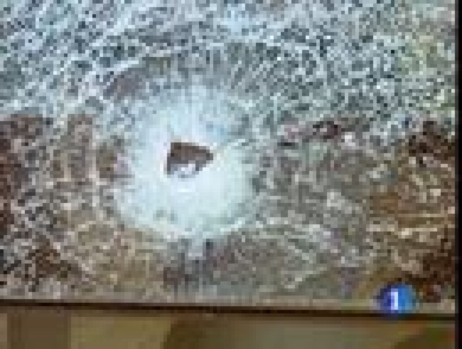 Dos muertos y un herido grave en un tiroteo en Cartagena