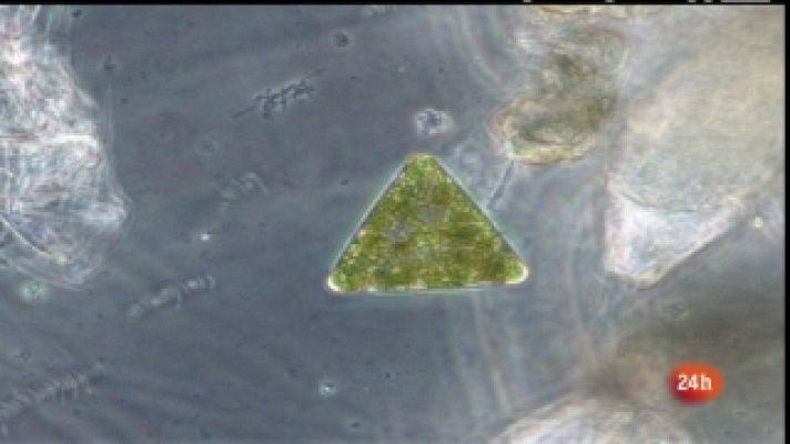 La expedición Malaspina - Malaspina 2010 - Capítulo 2