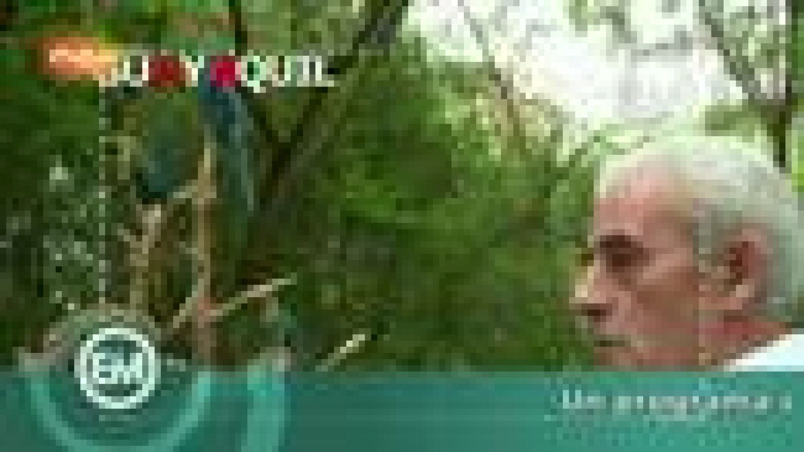 'Españoles en el mundo' - Guayaquil - Tomas falsas