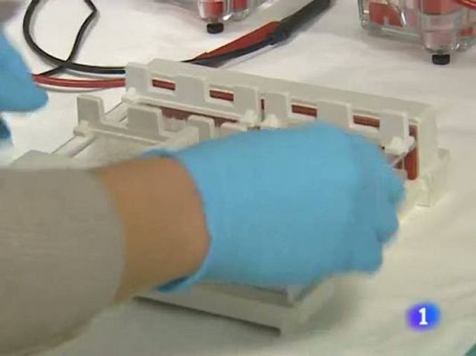 TeleCantabria - Telecantabria - 17/02/11