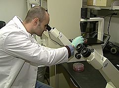 El 31% de toda la investigación científica del mundo se hace en Estados Unidos