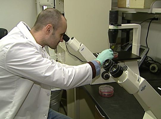 Telediario 1 - Dinero para investigación