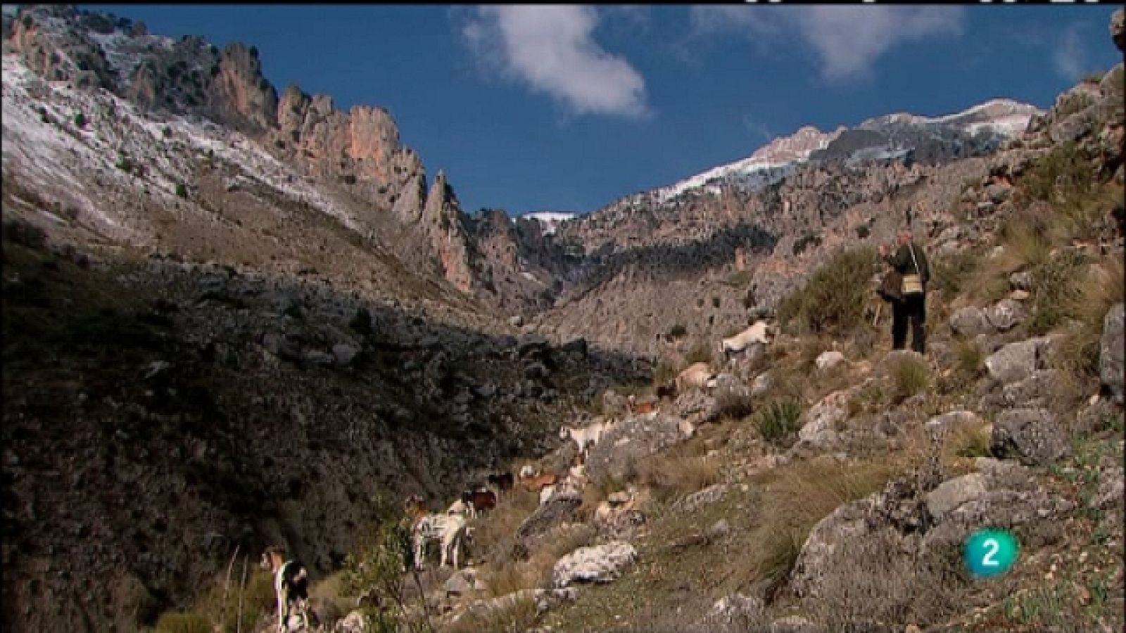 Biodiario - 18/02/11 - Biodiario | Ver