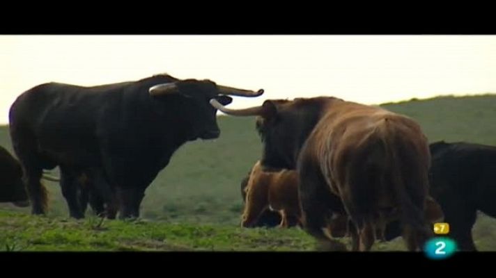 Tendido cero - Tendido cero - 19/02/11