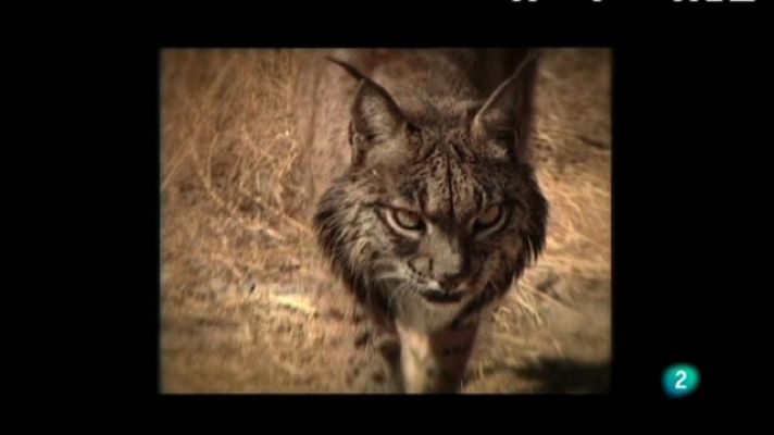 Biodiario - Biodiario - 19/02/11