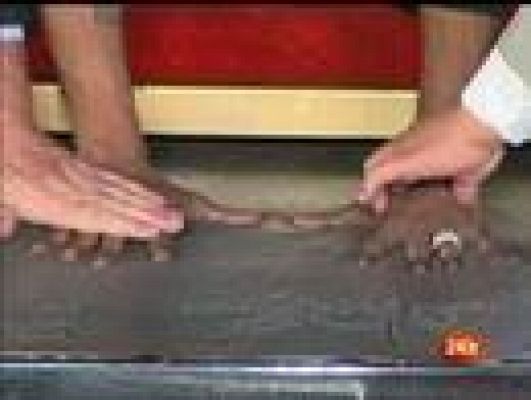 Baloncesto en RTVE - Kobe Bryant imprime sus huellas