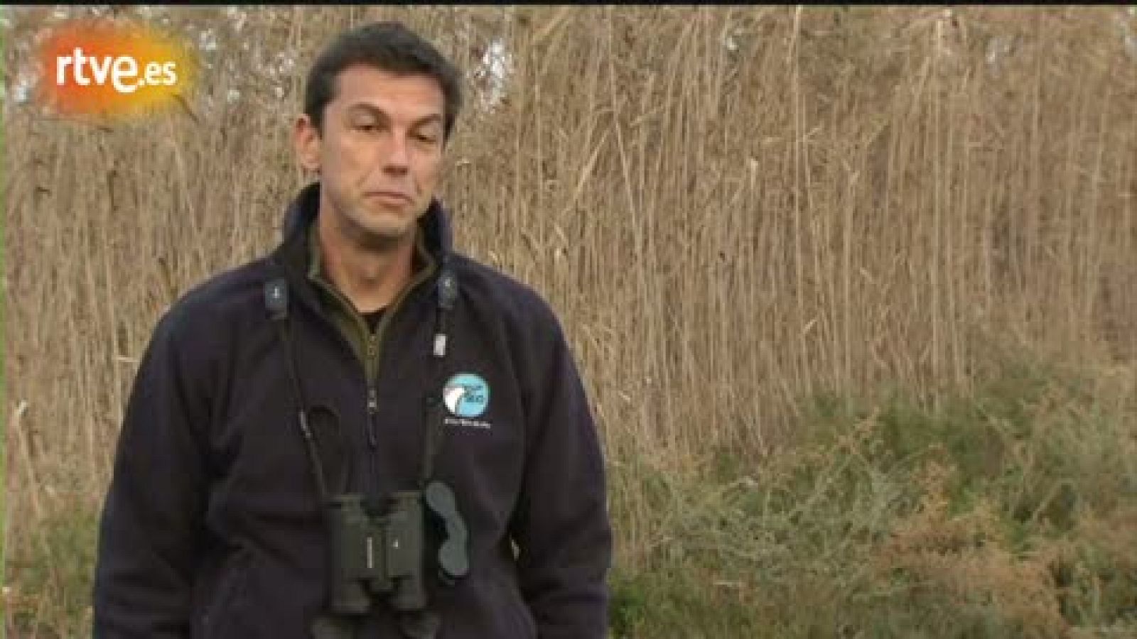 Crónicas - 'El Hondo', humedal fundamental para la conservación de especies acuáticas 