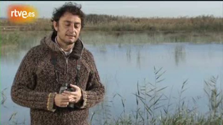 Crónicas - Paradojas en la crisis de El Hondo