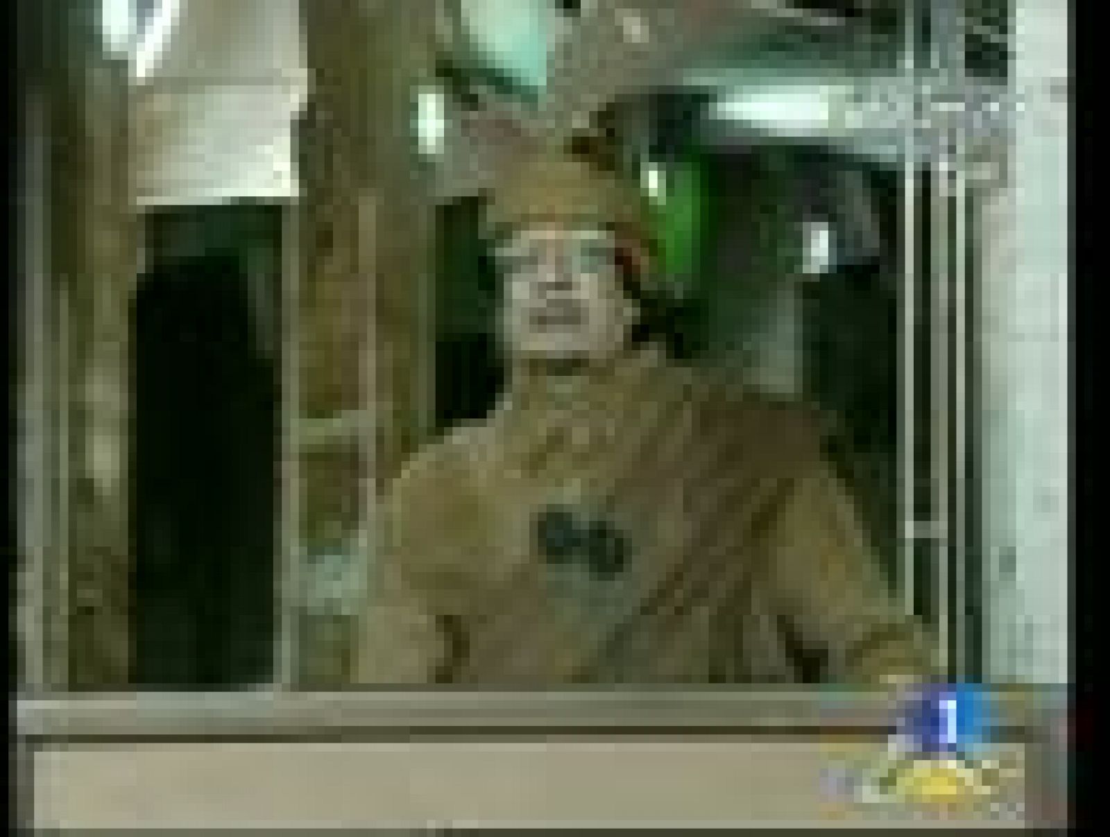  Gadafi dice que no cederá y que la situación puede ser una carnicería