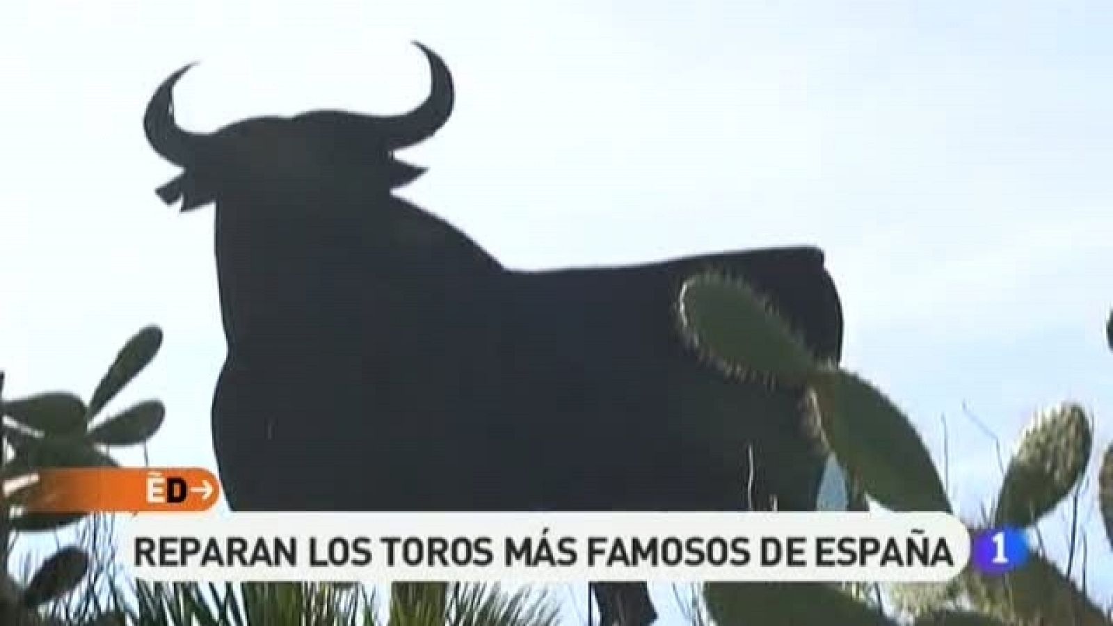 España Directo - 22/02/11 - España Directo | Ver