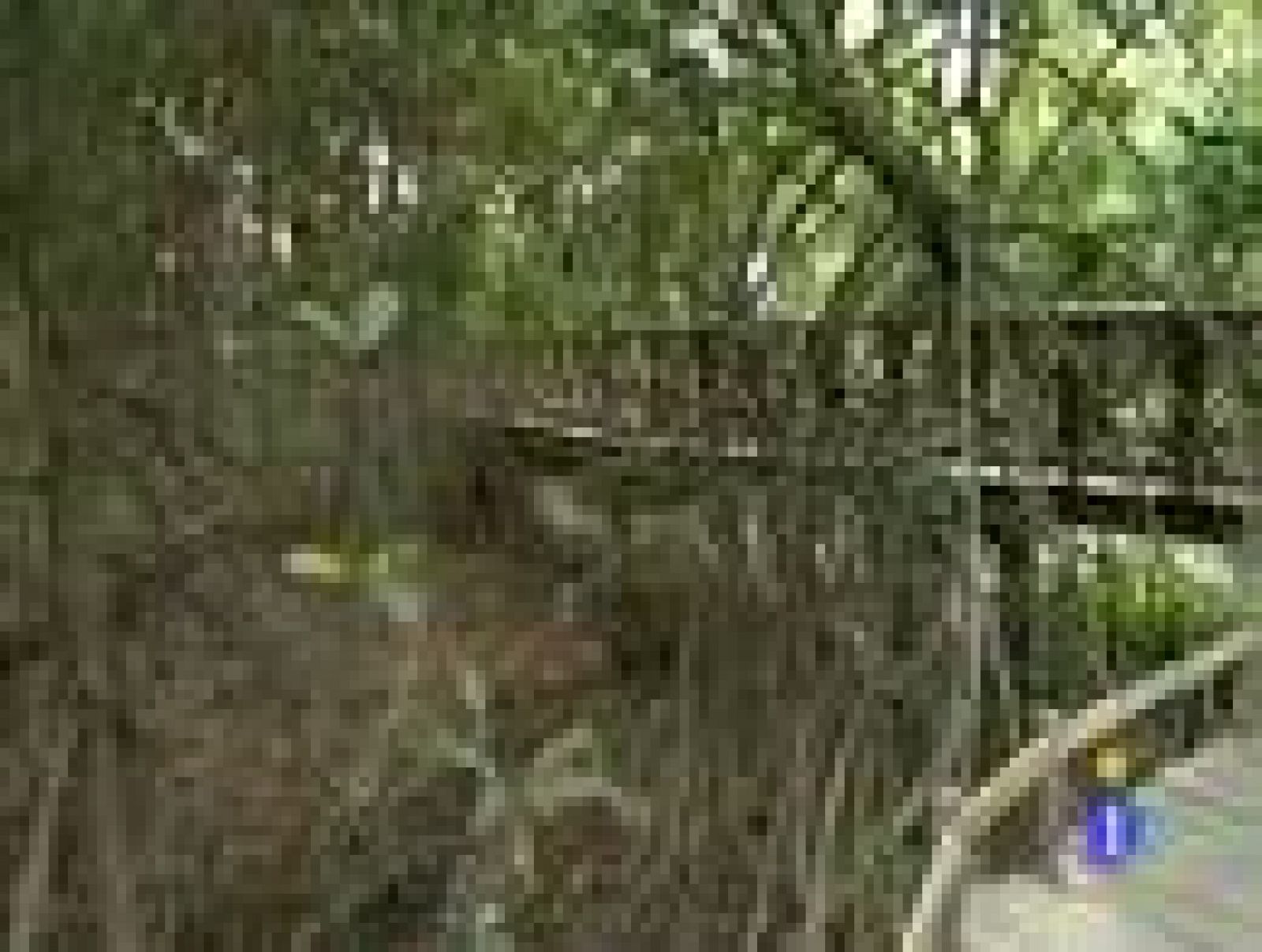 'Españoles en el mundo' - Guayaquil - Marcos