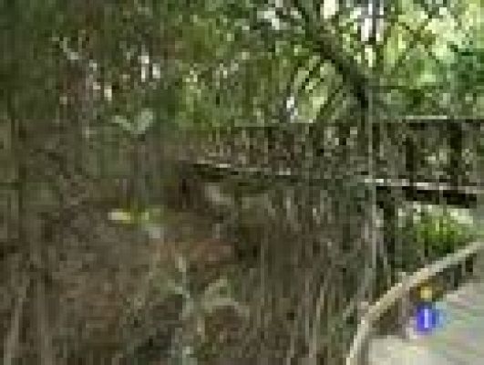 Españoles en el mundo - Guayaquil - Marcos