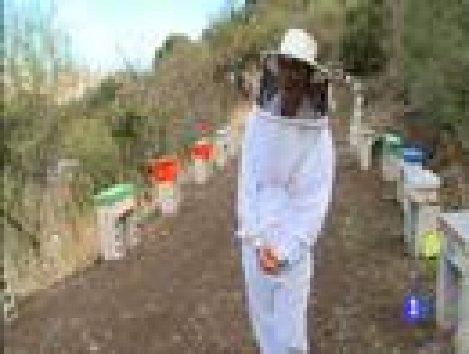 Destino: España, Canarias II, Beatriz