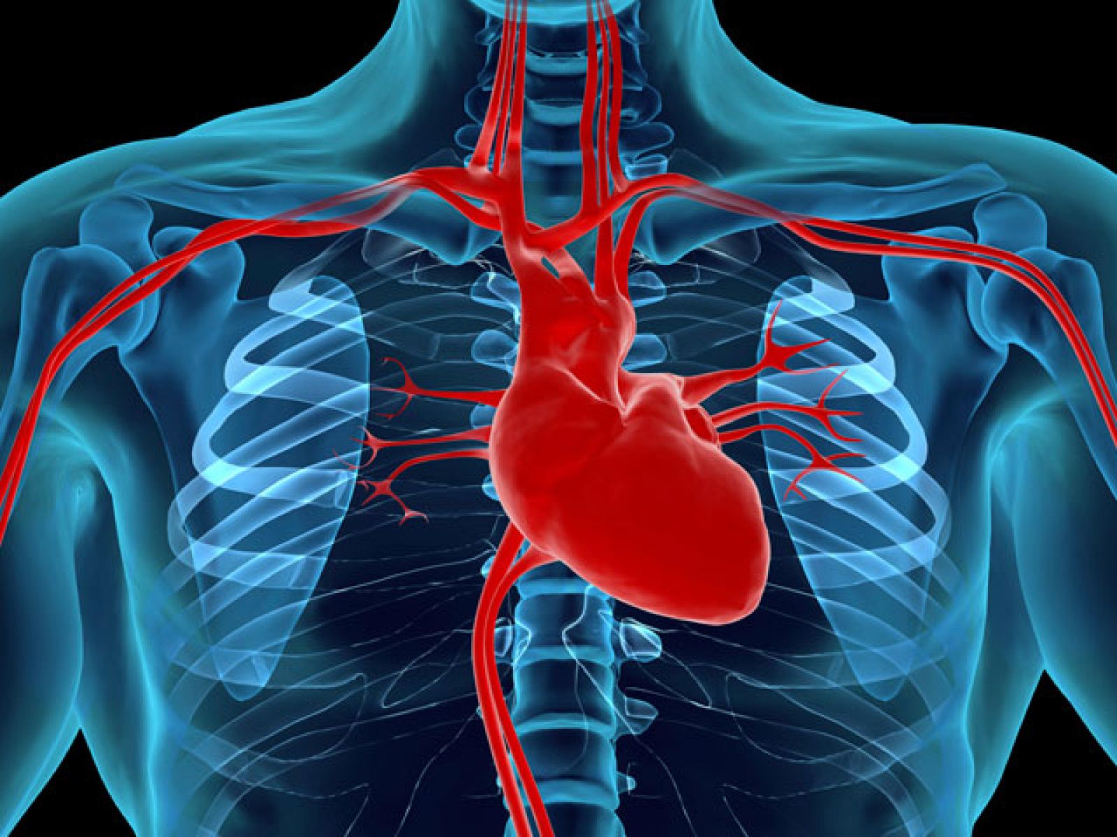 Saber vivir - Arterias limpias - 23/02/11