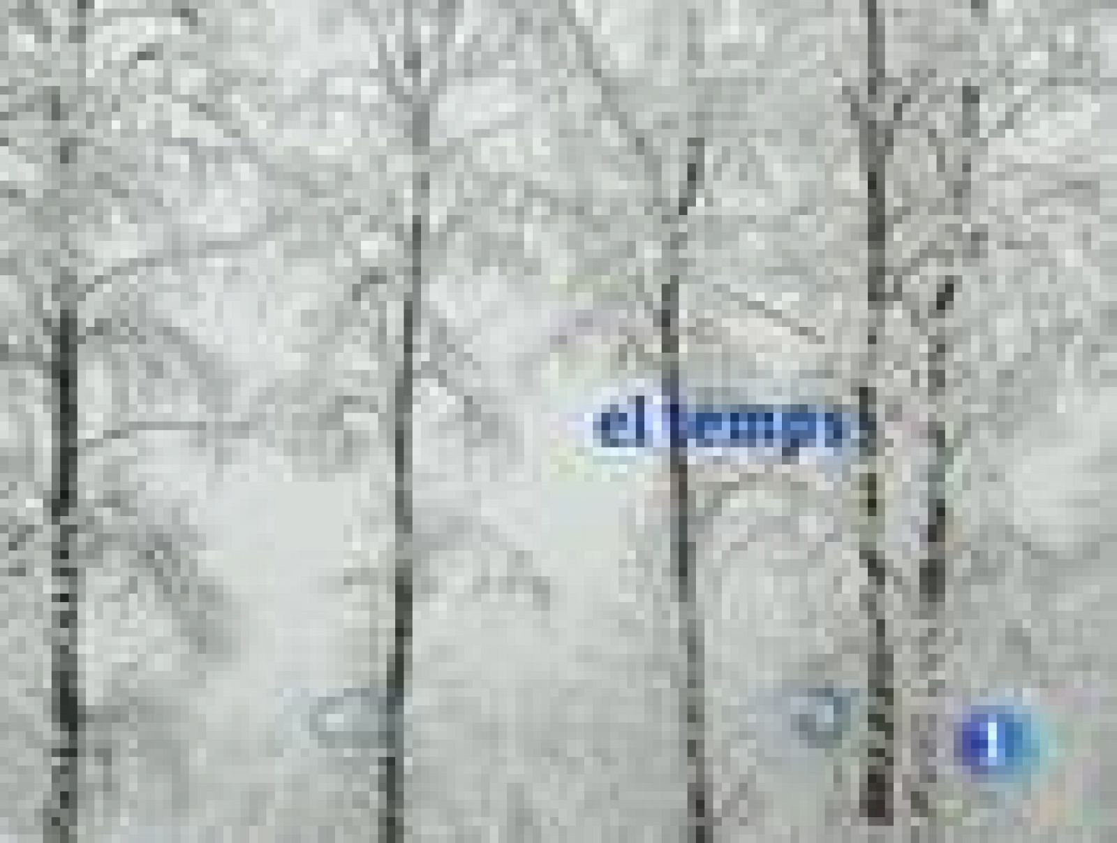 El temps - (23/02/11)