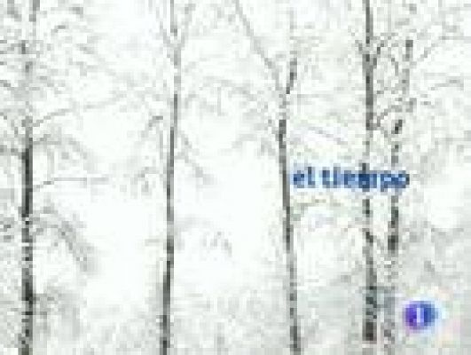 Noticias de Castilla y León - El tiempo en Castilla y León - 24/02/11