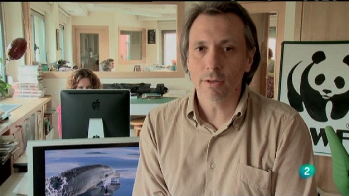 Biodiario - Biodiario - 24/02/11