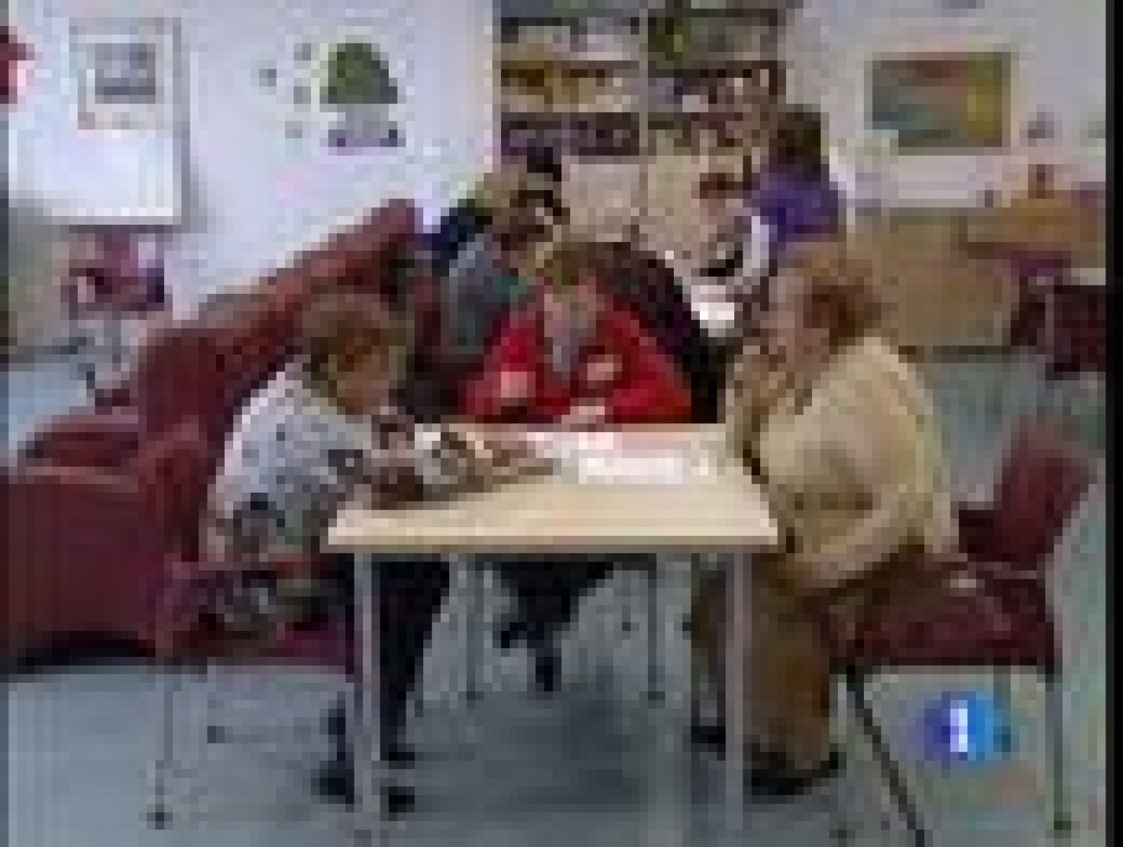 Cuadernos para la estimulación cognitiva | Ver