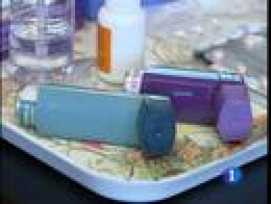 Telediario 1 - Temporada de alergias al polen