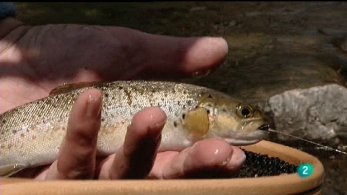 Jara y sedal - El cañón del Tera