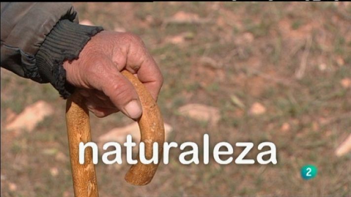 Biodiario - Biodiario - 25/02/11