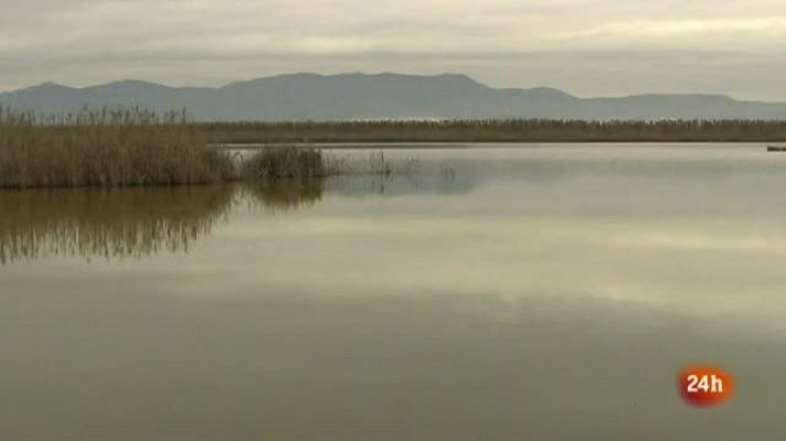 El Hondo: el humedal escondido