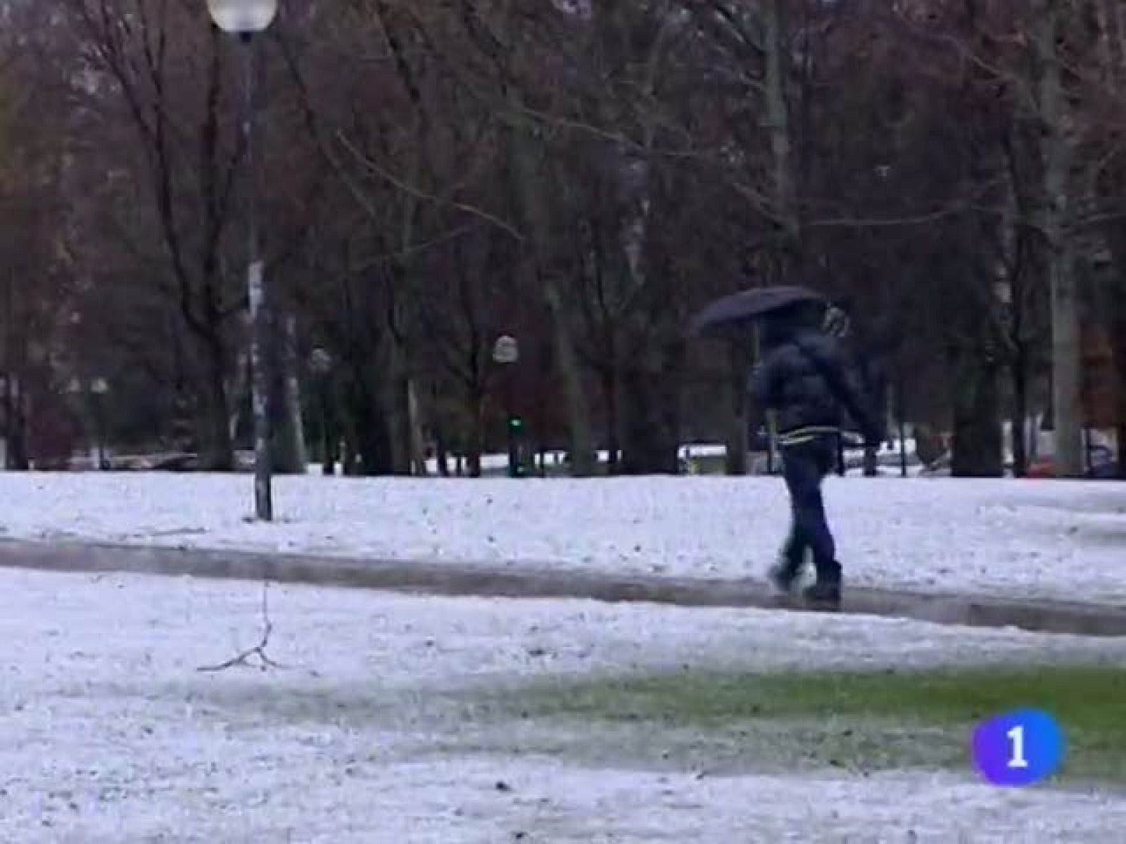 Telenavarra. - 28/02/11 | Ver