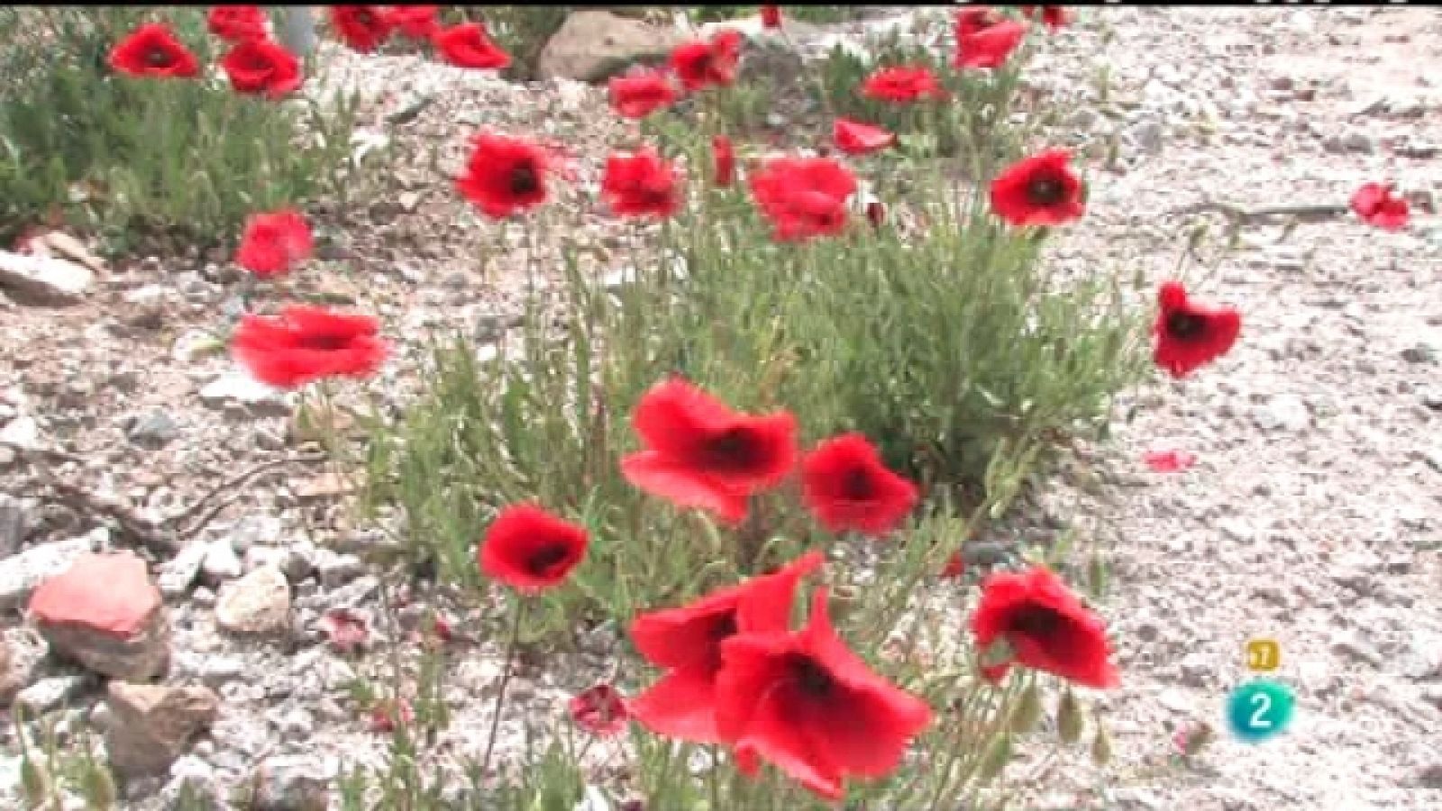 Zzz - 28/02/11 - Zzz | Ver