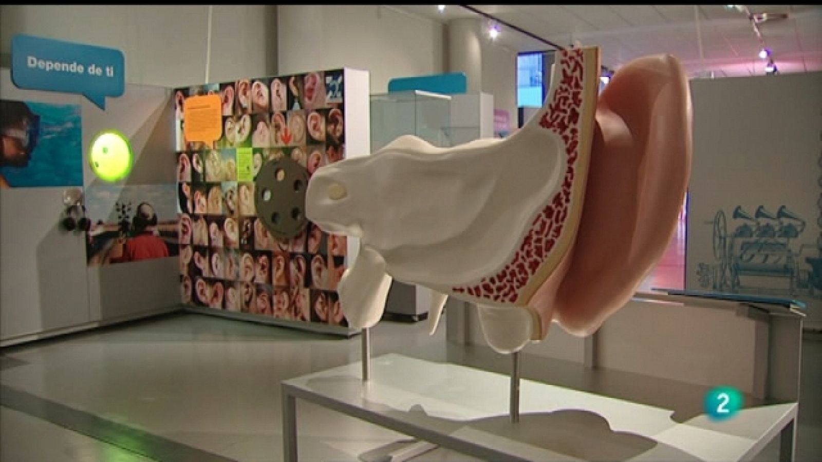 Para todos La 2 - 28/02/11 - Para todos La 2 | Ver